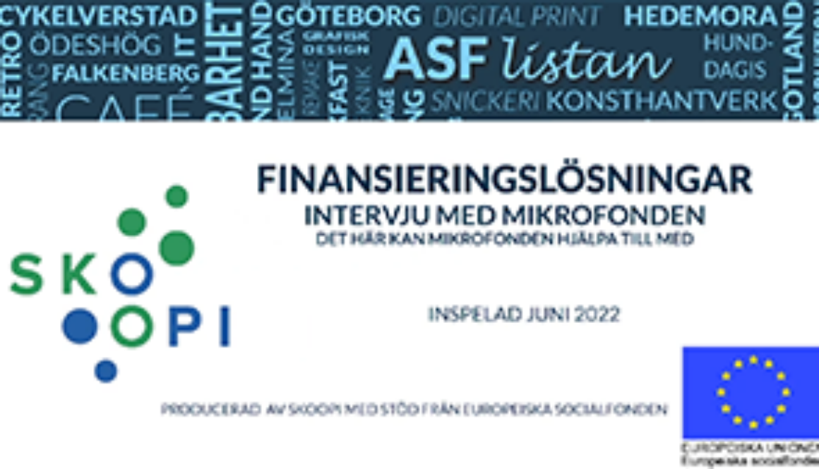 Finansieringslösningar - intervju med Mikrofonden_thumbnail